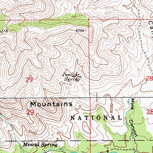 Topographic Map of Juniper Spring, AZ