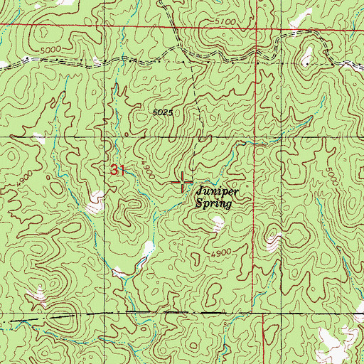Topographic Map of Juniper Spring, AZ