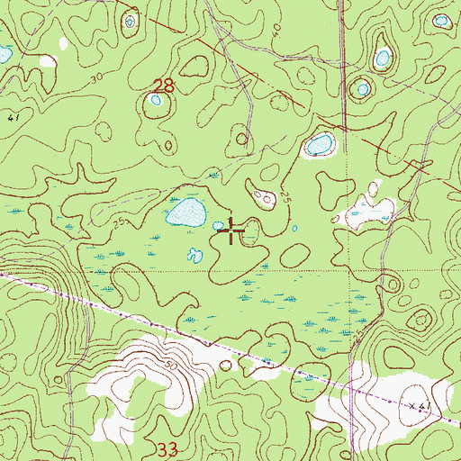 Topographic Map of Lake Bradford Baptist Church, FL