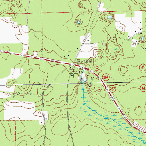 Topographic Map of Mount Olive Church, FL