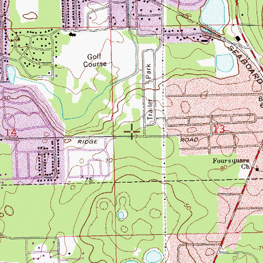Topographic Map of Henrietta, FL