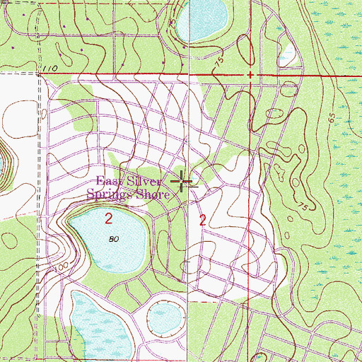 Topographic Map of East Silver Springs Shore, FL