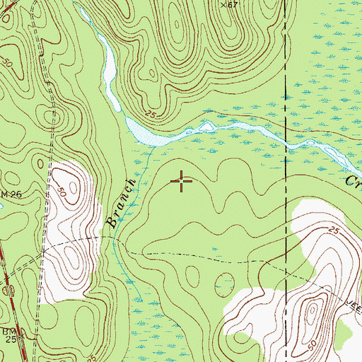 Topographic Map of F M Arredondo Grant, FL