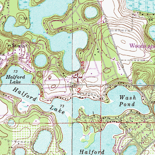 Topographic Map of Woods and Lakes, FL