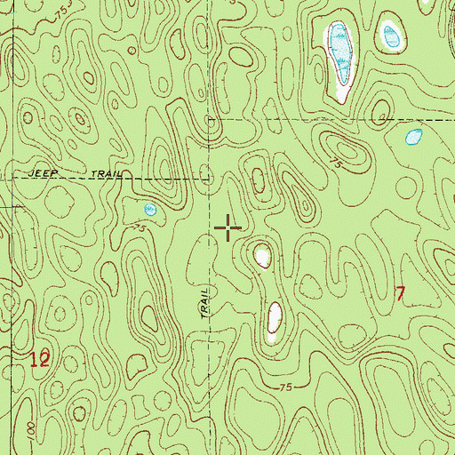Topographic Map of Ocala National Forest, FL