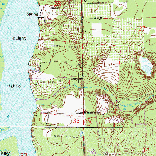 Topographic Map of Domingo Acosta Grant, FL