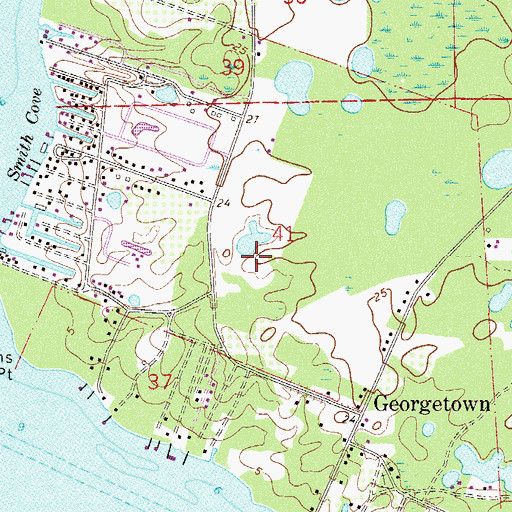 Topographic Map of E Hudnal Grant, FL