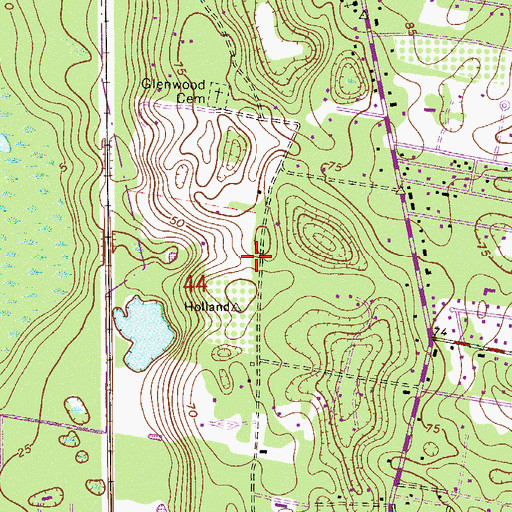 Topographic Map of J B Gaudry Grant, FL