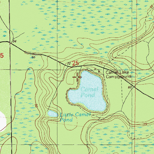 Topographic Map of Camel Lake Campground, FL