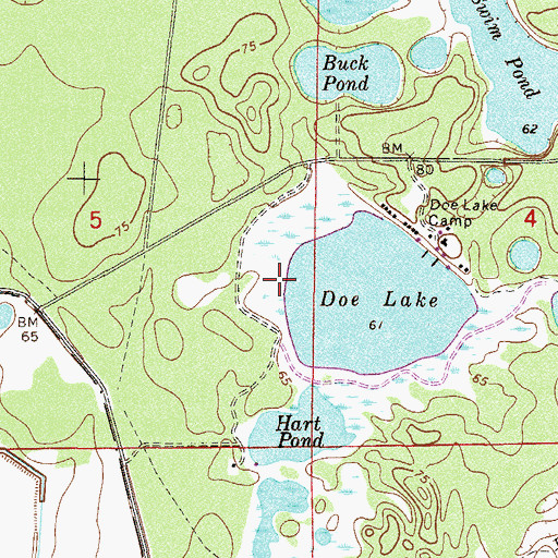 Topographic Map of Doe Lake Campground, FL