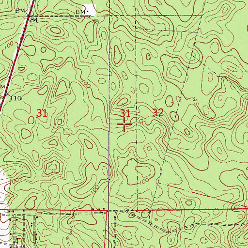 Topographic Map of Flatwoods Trail, FL