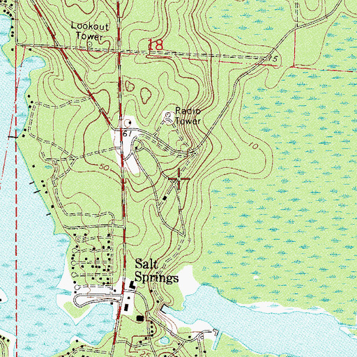 Topographic Map of Salt Springs Campground, FL