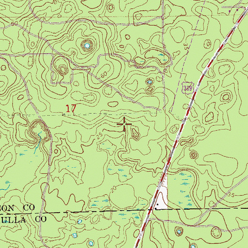 Topographic Map of Leon Sinks Geological Area, FL
