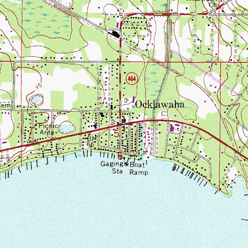 Topographic Map of Ocklawaha, FL