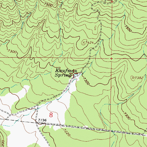 Topographic Map of Kaufman Spring, AZ