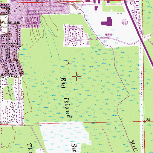 Topographic Map of Big Island Swamp, FL