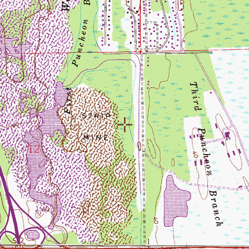 Topographic Map of Second Puncheon Branch, FL