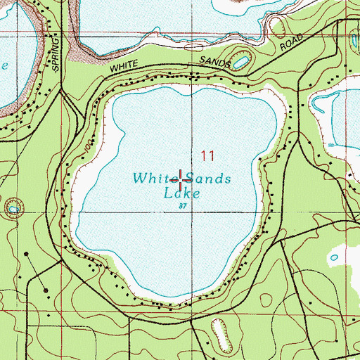 Topographic Map of White Sands Lake, FL