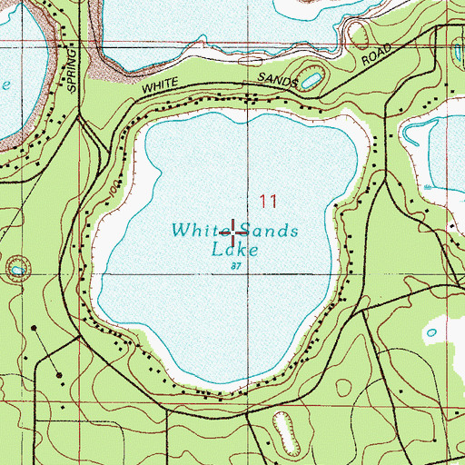 Topographic Map of White Sands Lake, FL