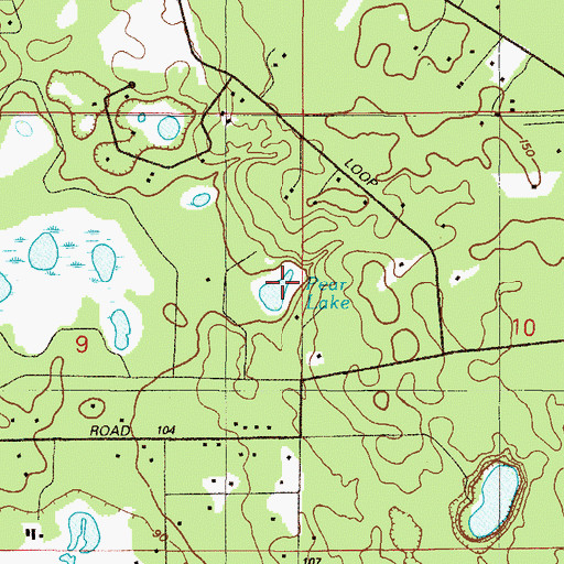 Topographic Map of Pear Lake, FL