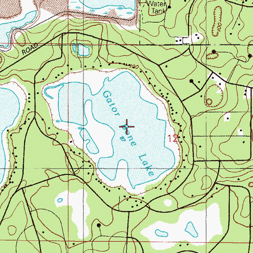 Topographic Map of Gator Bone Lake, FL