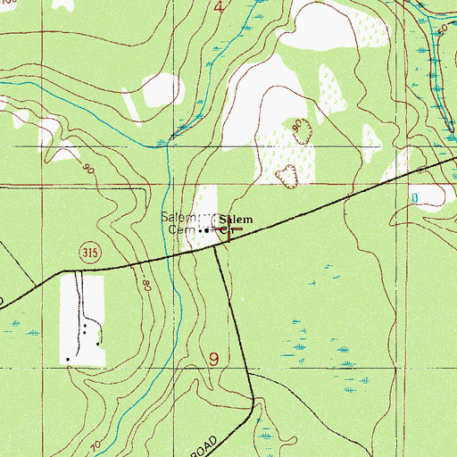 Topographic Map of Salem Cemetery, FL