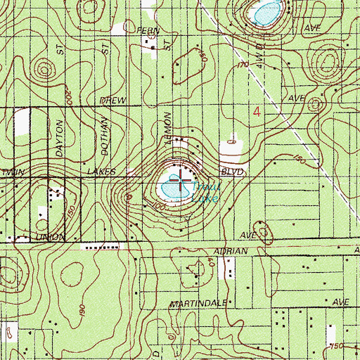 Topographic Map of Trout Lake, FL