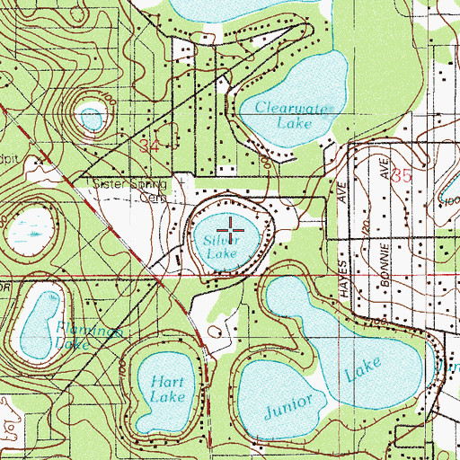 Topographic Map of Silver Lake, FL