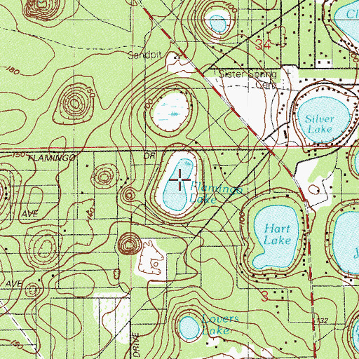 Topographic Map of Flamingo Lake, FL