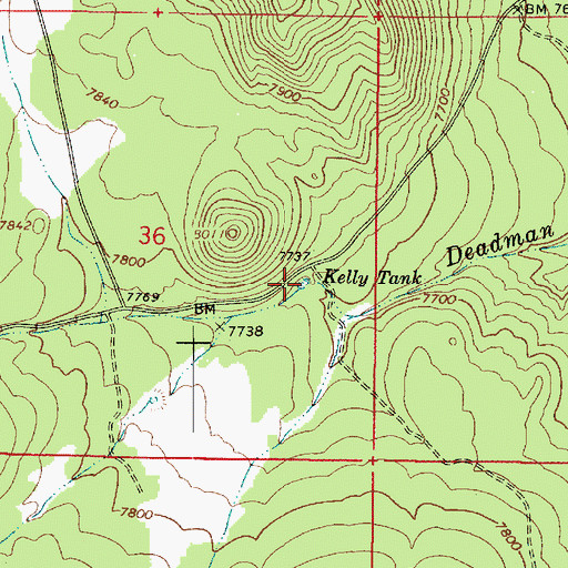 Topographic Map of Kelly Tank, AZ