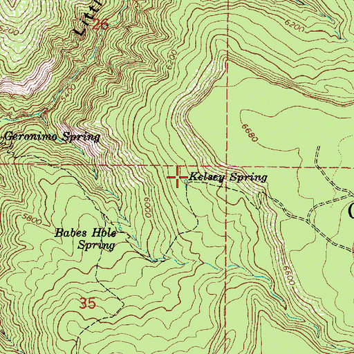 Topographic Map of Kelsey Spring, AZ