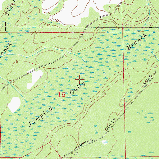 Topographic Map of Jumping Gully Branch, FL