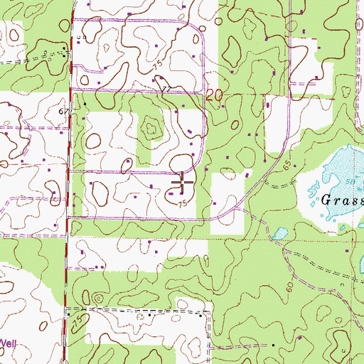 Topographic Map of Fort Wacahoota (historical), FL