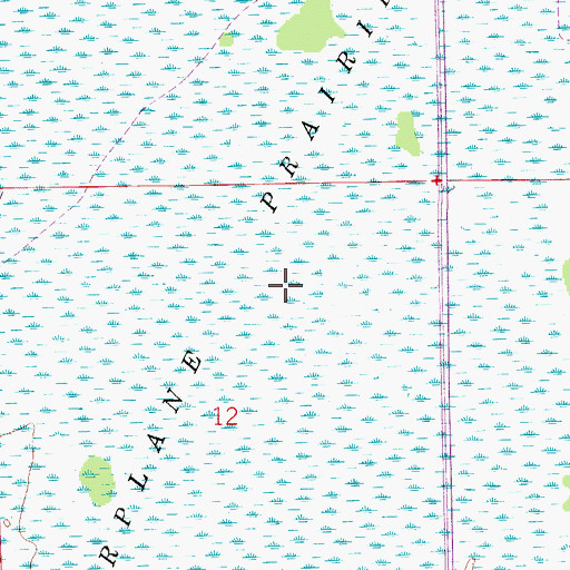 Topographic Map of Airplane Prairie, FL