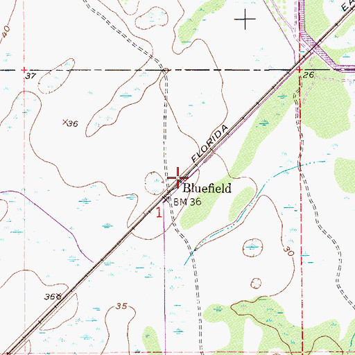 Topographic Map of Bluefield, FL