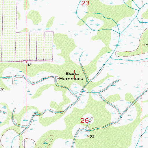 Topographic Map of Boar Hammock, FL