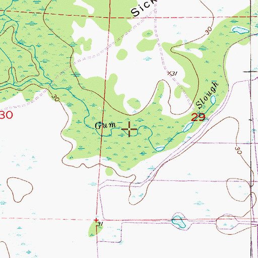 Topographic Map of Gum Slough, FL