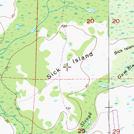 Topographic Map of Sick Island, FL