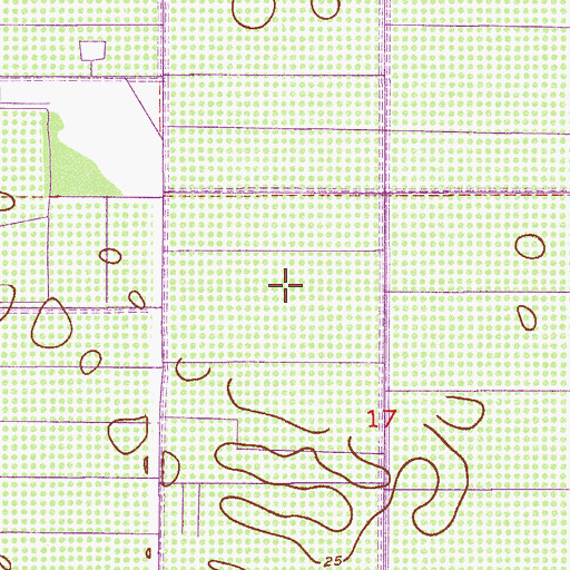 Topographic Map of Swords Pond, FL