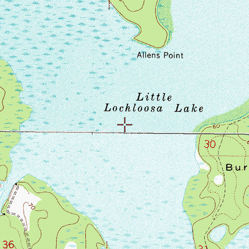 Topographic Map of Little Lochloosa Lake, FL