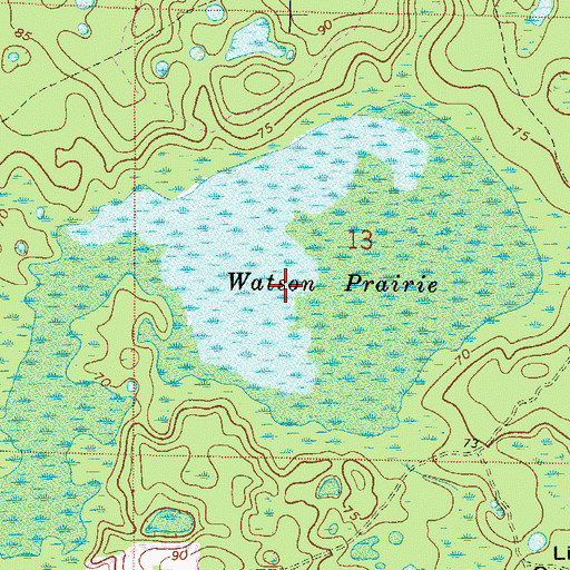 Topographic Map of Watson Prairie, FL