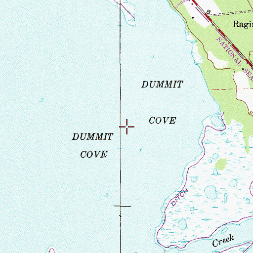 Topographic Map of Dummit Cove, FL