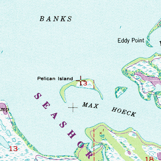 Topographic Map of Pelican Island, FL