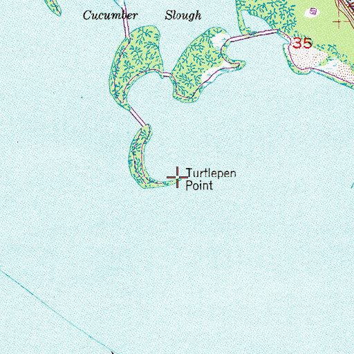 Topographic Map of Turtlepen Point, FL