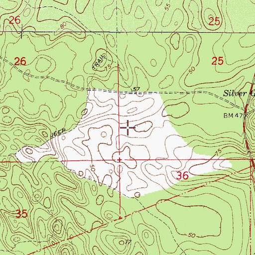 Topographic Map of Pats Island, FL