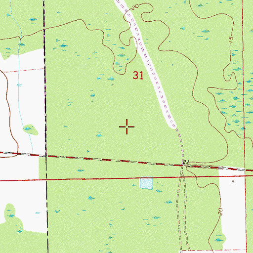 Topographic Map of Salt Springs Island, FL