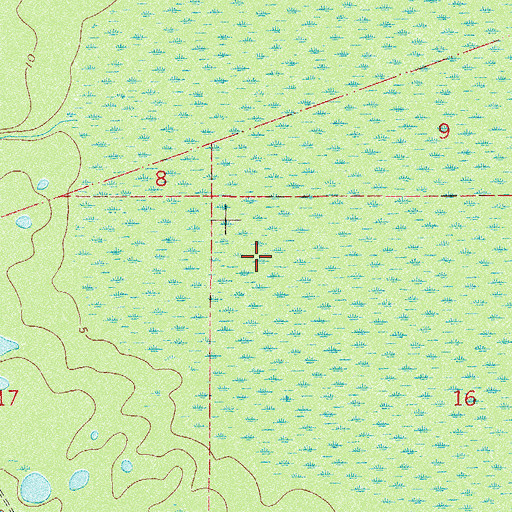 Topographic Map of Little Lake George Wilderness, FL