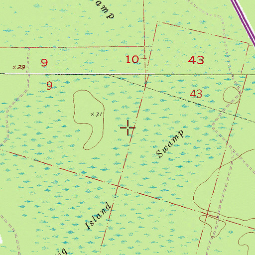 Topographic Map of Big Island, FL