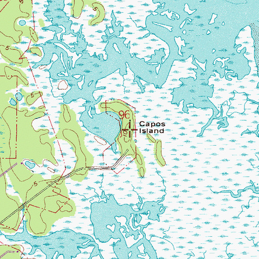 Topographic Map of Capos Island, FL