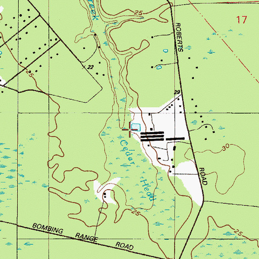 Topographic Map of Cedar Head, FL